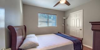 20515 Tree Meadows Gallery 10