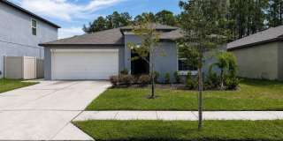 Beautiful 4 Bedroom / 2 Bath Home in Saddle Creek Preserve Gallery 1
