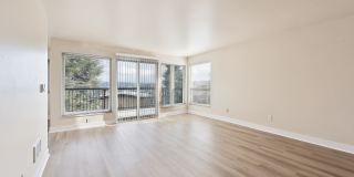 Arrive Magnolia Gallery 41