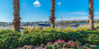 917 TIDEWATER SHORES Loop Gallery 41