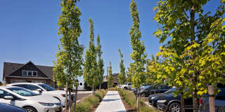 The Elwood at Taralon Gallery 25