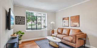 Cameron Court & Shelton Gallery 5