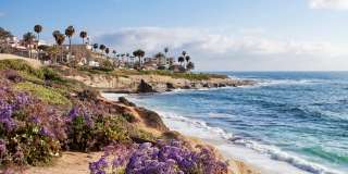 Windsor Mission Valley Gallery 28