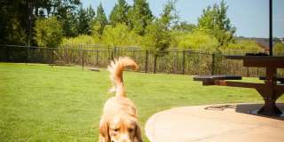 Paladin Apartments Gallery 2