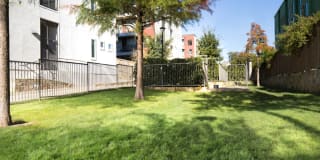 Strata Apartments Knox Henderson Gallery 25