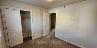3004 Calla Lilly Gallery 17