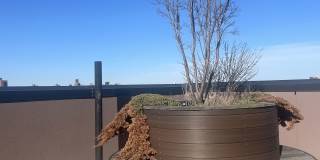 410 Tompkins Avenue Gallery 14