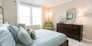 Vista View Gallery 11