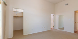 Single Level 3 Bedroom 2.5 Bath home in Desirable neighborhood Available Now! Gallery 19