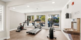 Avana at South Station Gallery 33