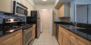 Palms of Clearwater Gallery 42