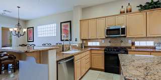 7155 E NIGHT GLOW Circle Gallery 18