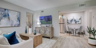 Regatta at Trinity Gallery 1