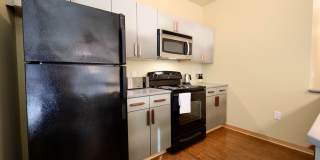 Settlement Place Gallery 344