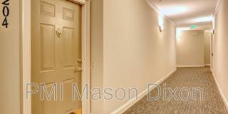 5920 Great Star Drive Gallery 7
