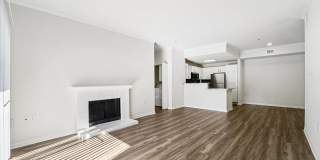 Derby at Steeplechase Gallery 49