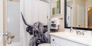 White Oak Gallery 52