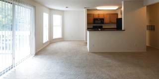 Canopy at Baybrook Canopy at Baybrook Gallery 25