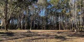 42 Mike Drive Gallery 1