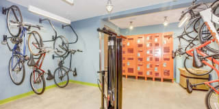 The Vintage Gallery 15