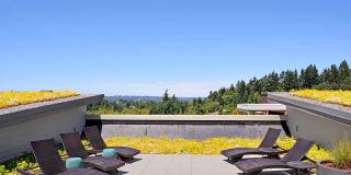 Kirkland Crossing Gallery 35