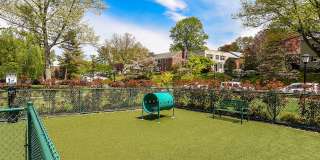 The Wynnewood Gallery 14