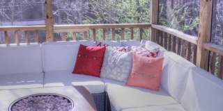 Beautiful home with Fenced Yard & Screened Porch! Gallery 15