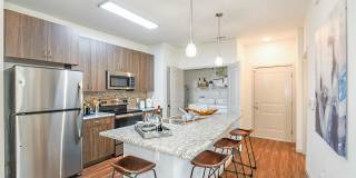 Venetian Isle Gallery 21