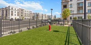 Alta Westwind Gallery 38