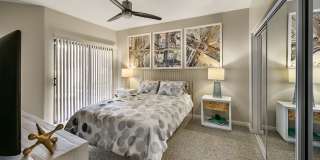 Waterside at Ocotillo by Mark-Taylor Gallery 9