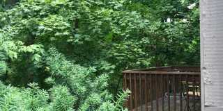 106 Tulip Tree Ct Gallery 3