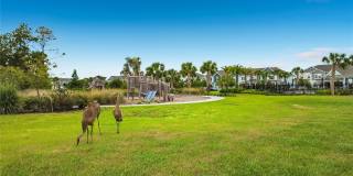 13568 AUTUMN HARVEST Avenue Gallery 52