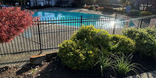 Capri Apartments Gallery 12