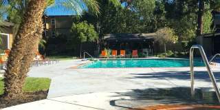 The Grove The Grove Gallery 8