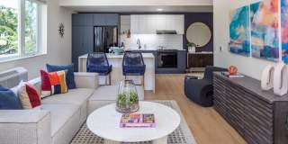 The Frankie Gallery 4