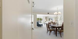 170 N Ocean Boulevard Gallery 6