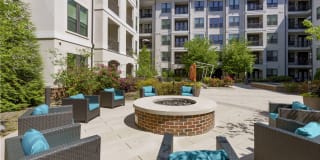 The Collection Gallery 27