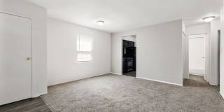 Windsor Park Gallery 2