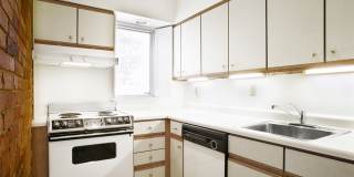 513 Shady Ave Gallery 13