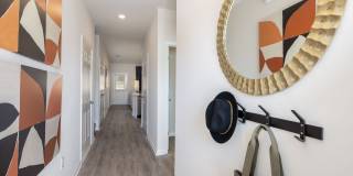 Covey Homes Southampton - Homes for Rent Covey Homes Southampton - Homes for Rent Gallery 7