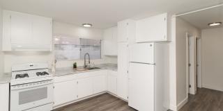 Olive Tree Manor Gallery 1