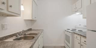 Holmes Flatz Gallery 12