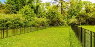 Cypress Grove Gallery 19