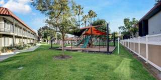 Tierra Palms Gallery 93