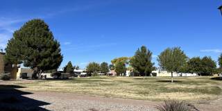 3107 ISLA VERDE Circle Gallery 22