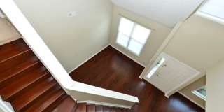Great Bridge/ Lakefront Gallery 29