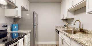 A'Cappella Gallery 11