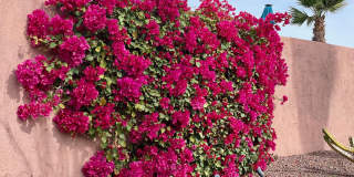 43622 Warner Trail Gallery 47