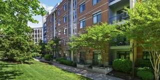 Crystal City Lofts Gallery 41