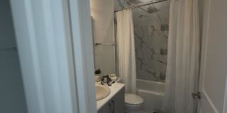 564 E 19th St. Gallery 4